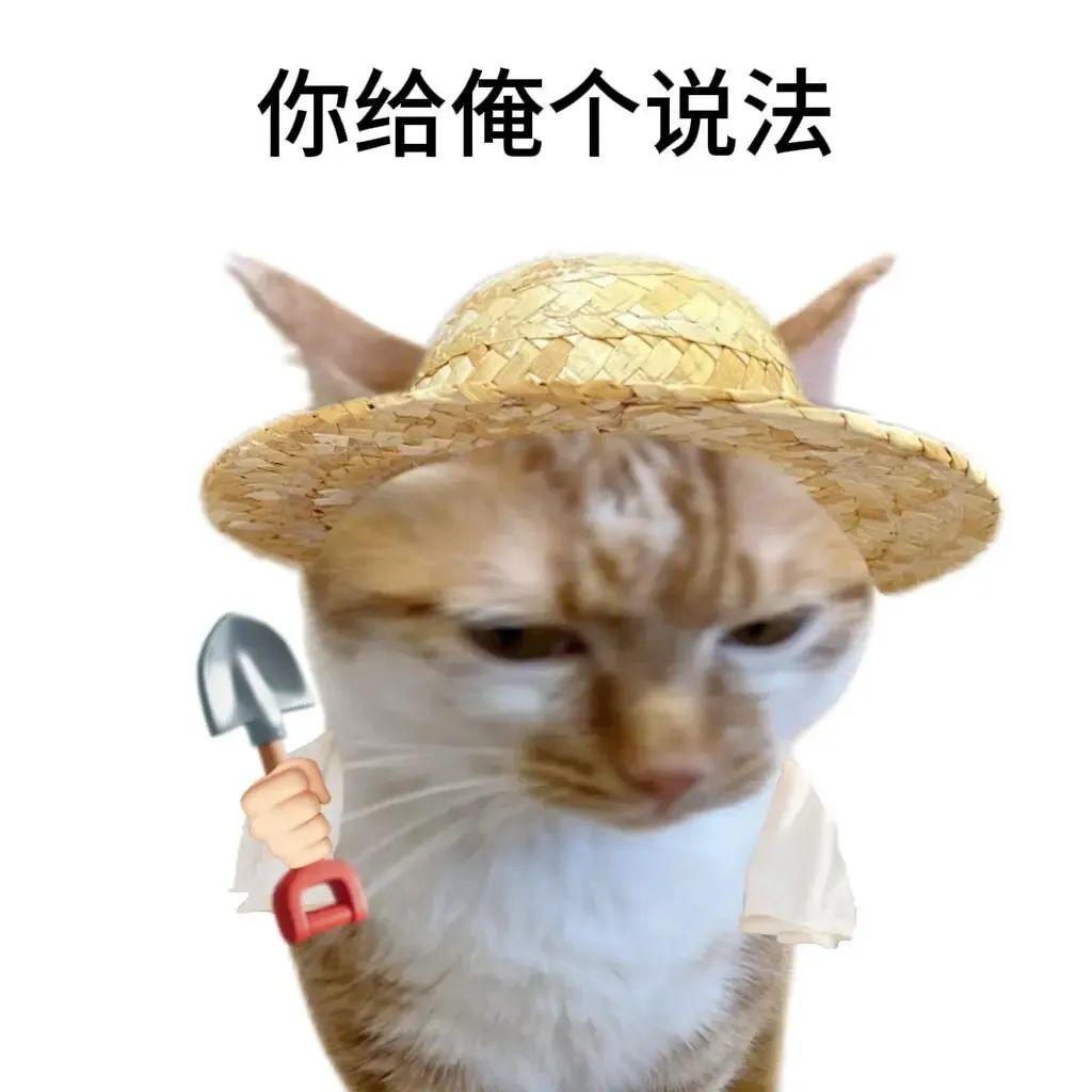 早起的虫子有鸟吃