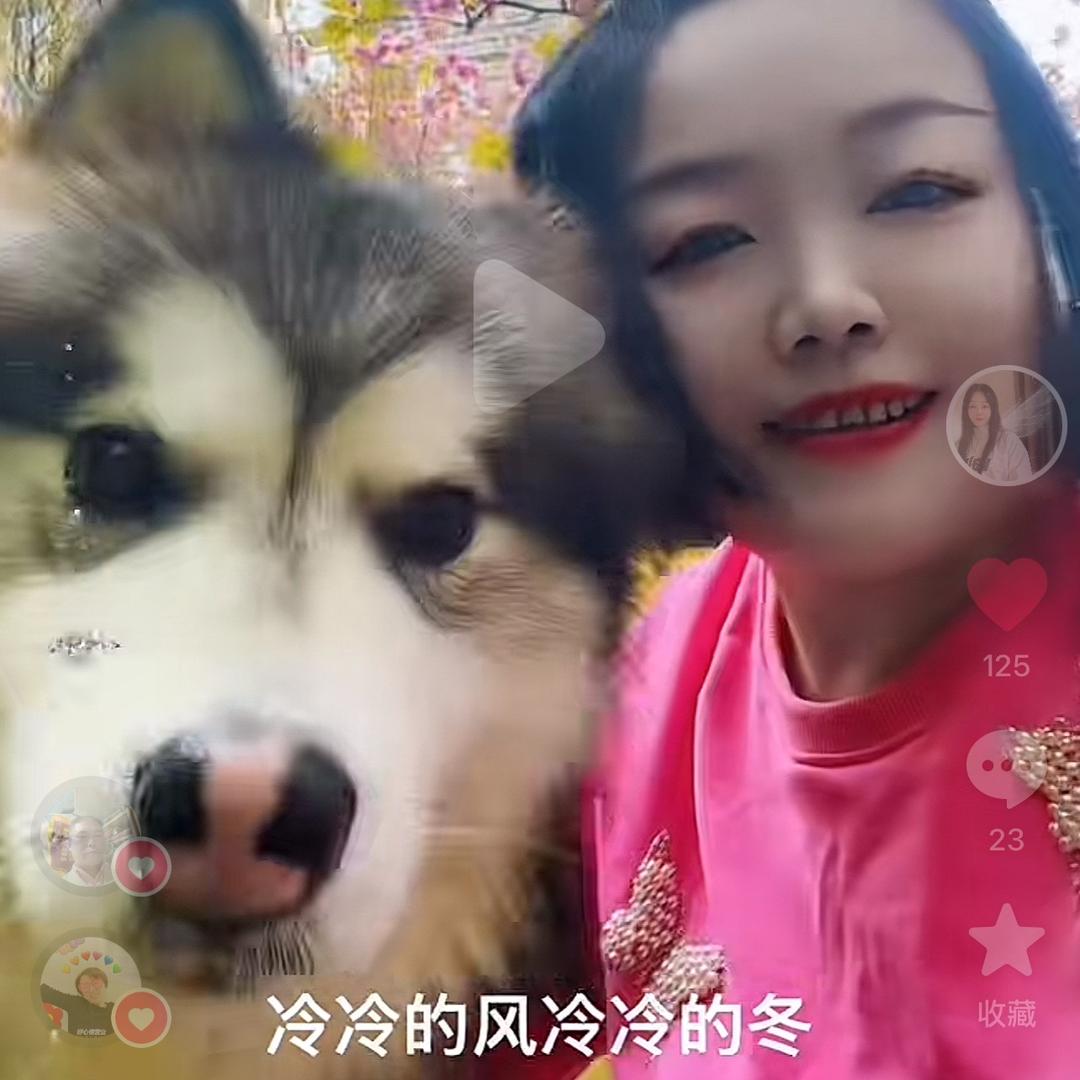 中二总裁白九霄头像