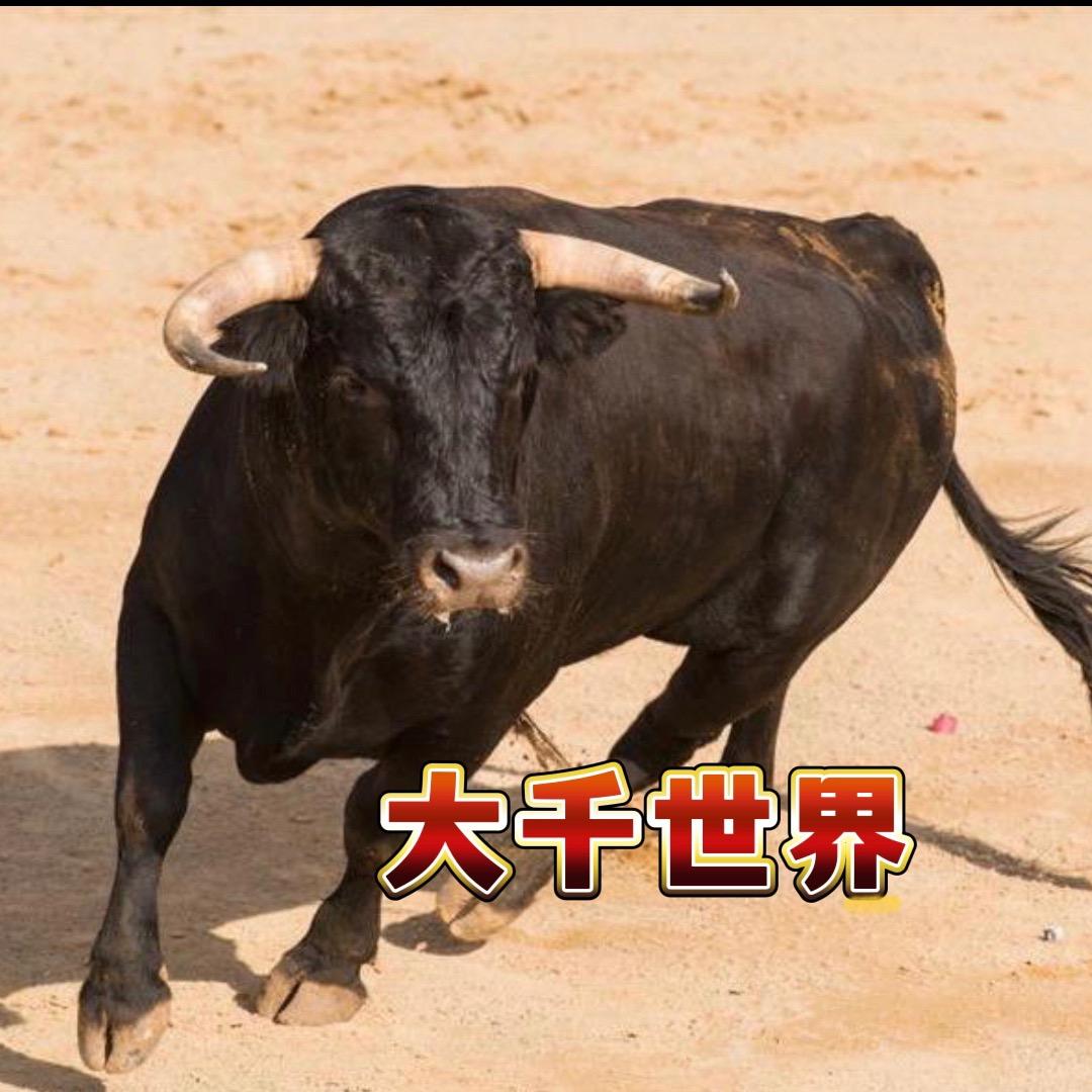 子牛临风🐂