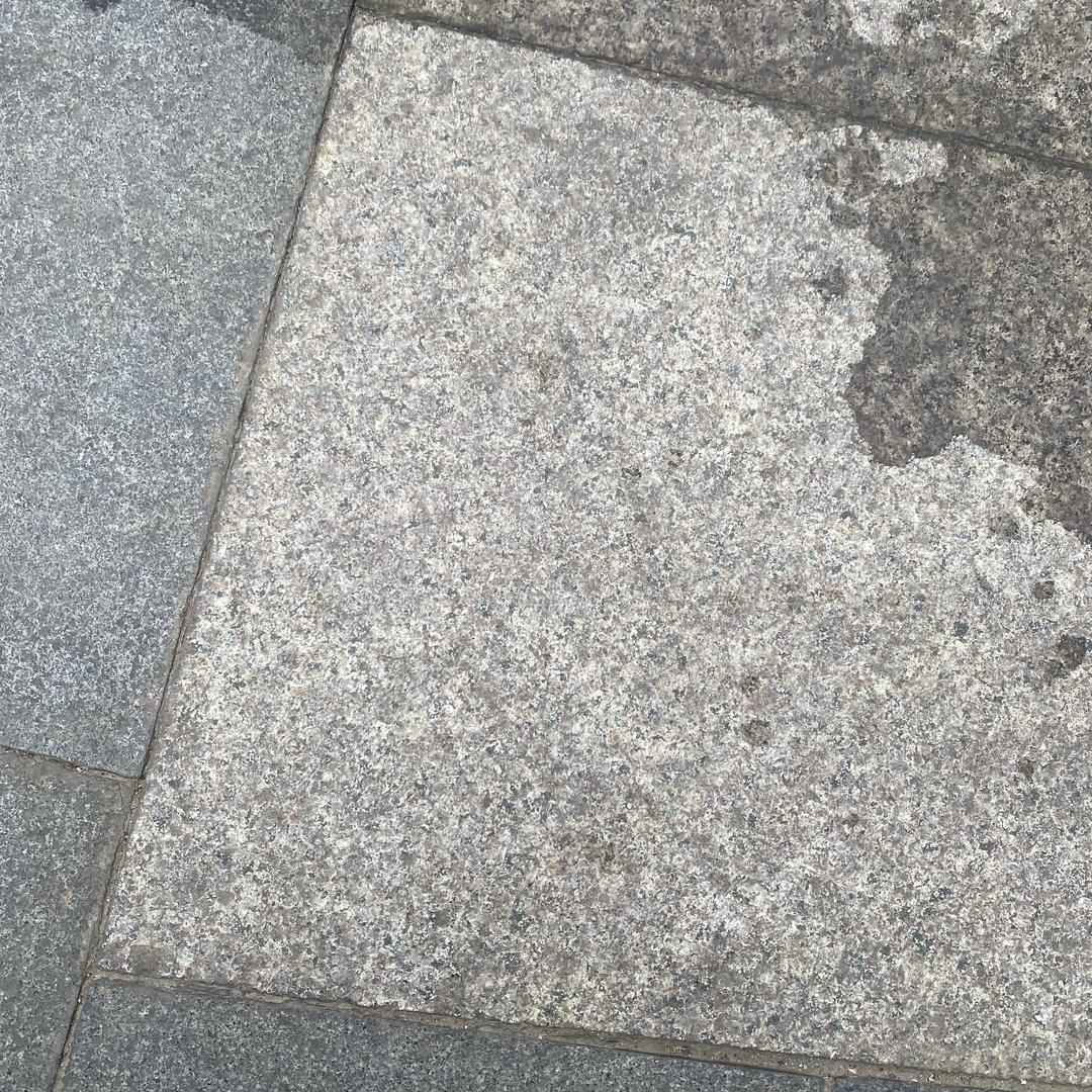树🌲