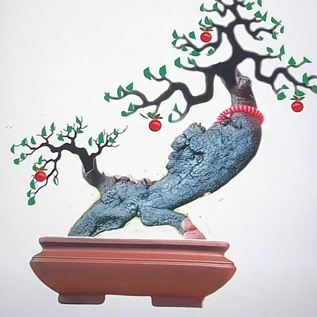 野狼盆景(三哥）