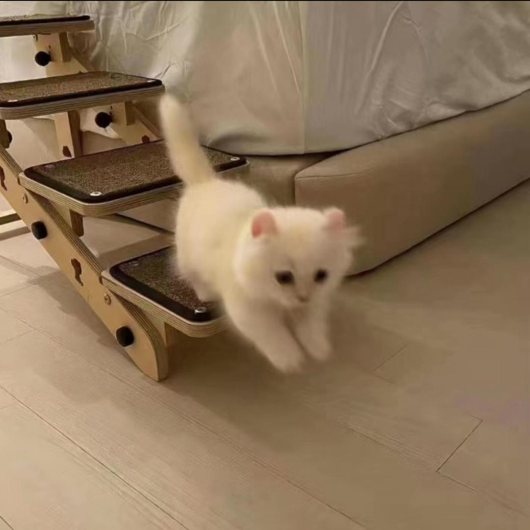 凌晨不睡觉