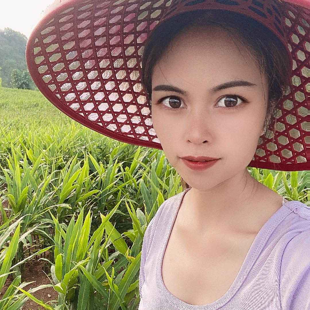 云滇阿妹