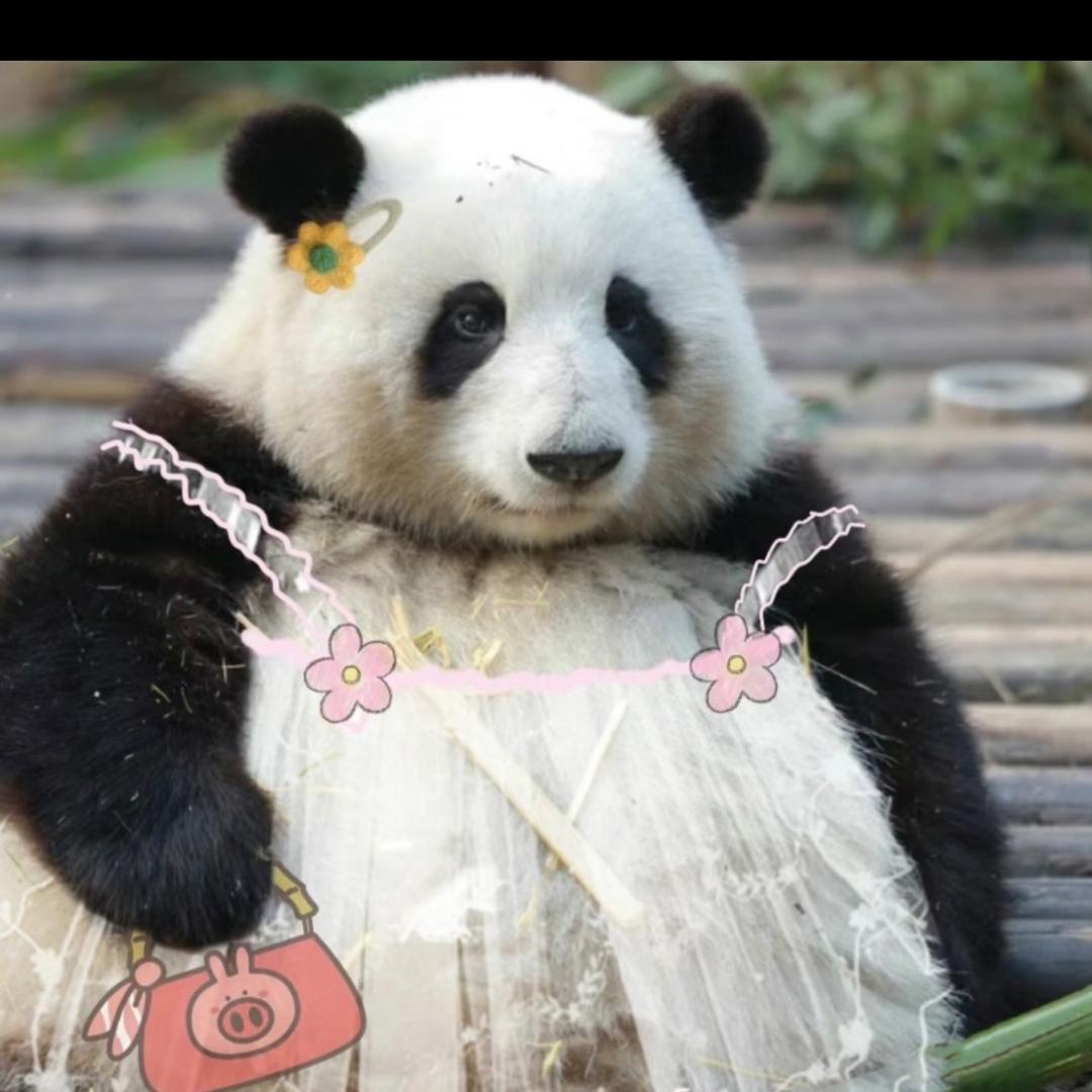 又是晴天