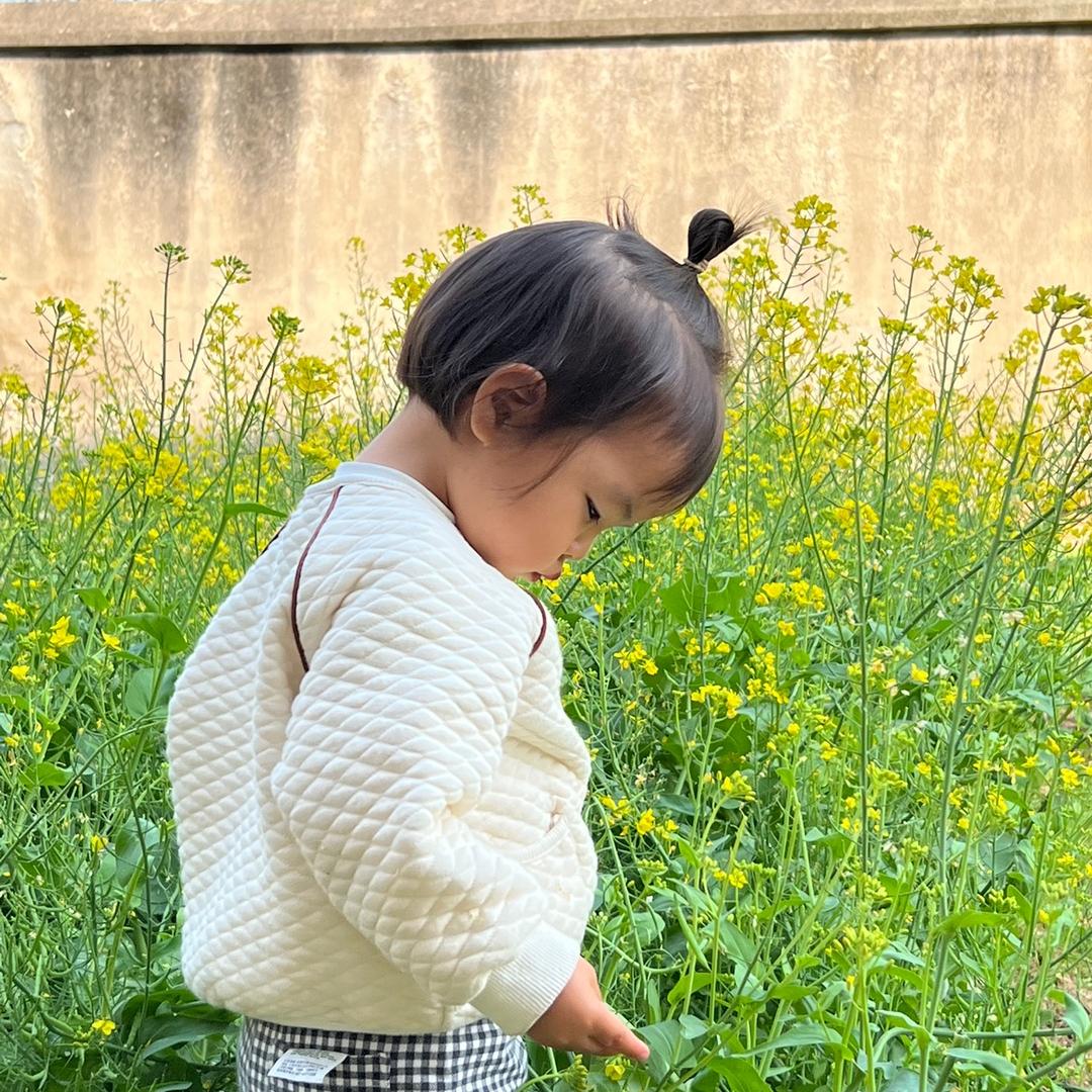 阙婉