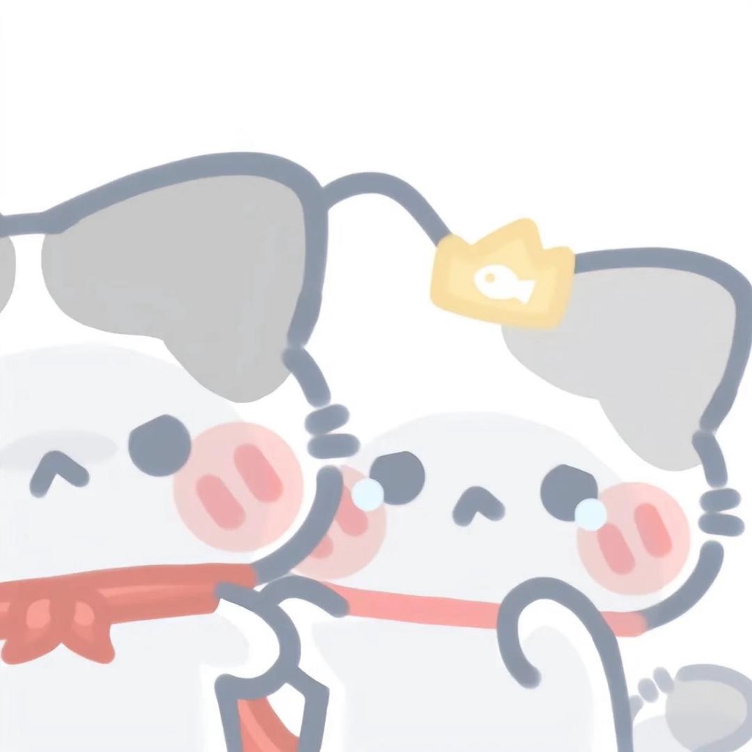 呆呆鲨