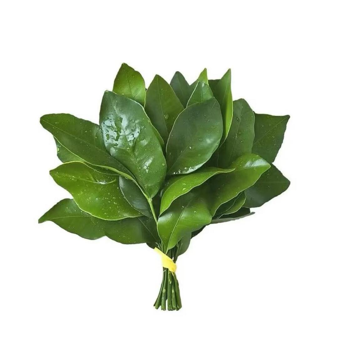 怎么还是很困呀