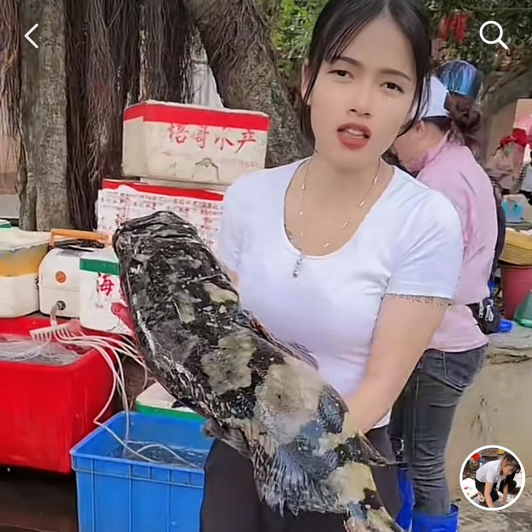 认真妹🐟（鲜活海鲜优选）