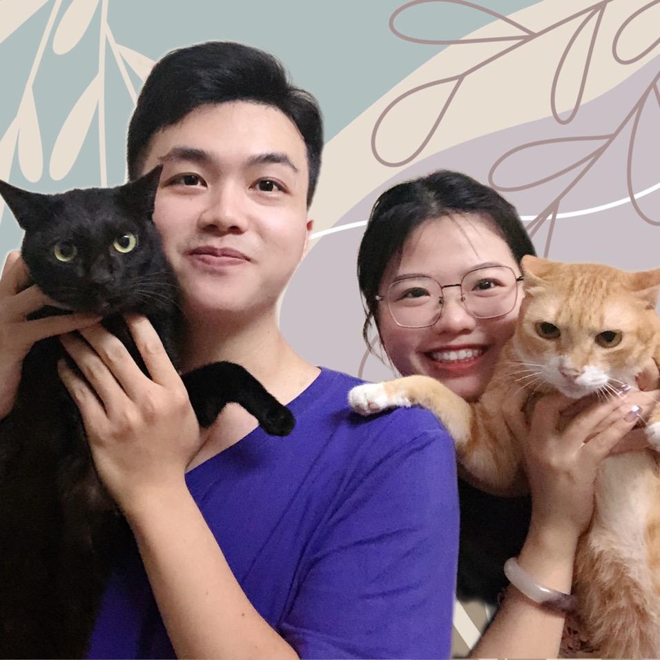 猫猫猫猫猫猫猫猫猫猫