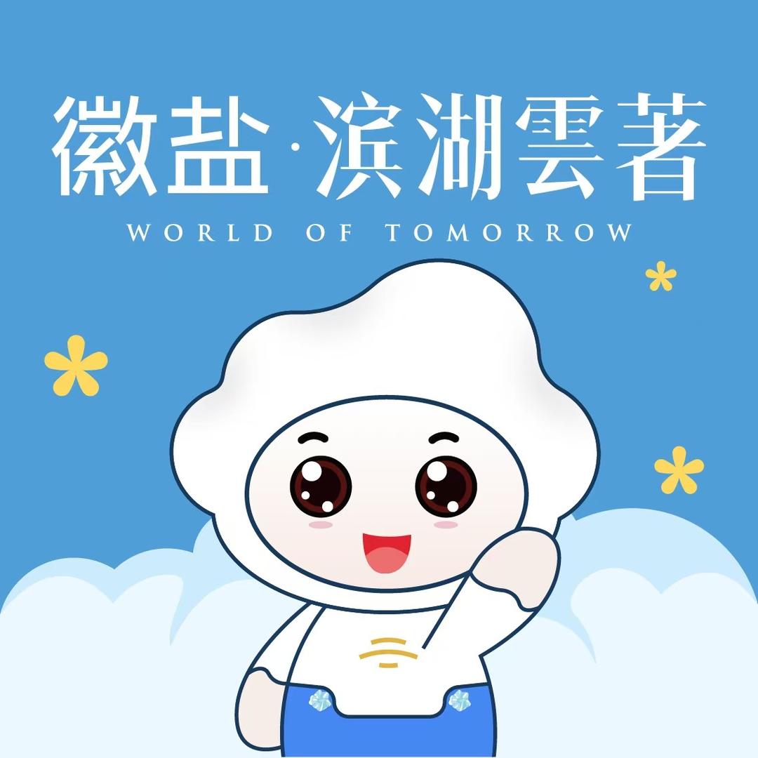 徽盐建设·滨湖雲著
