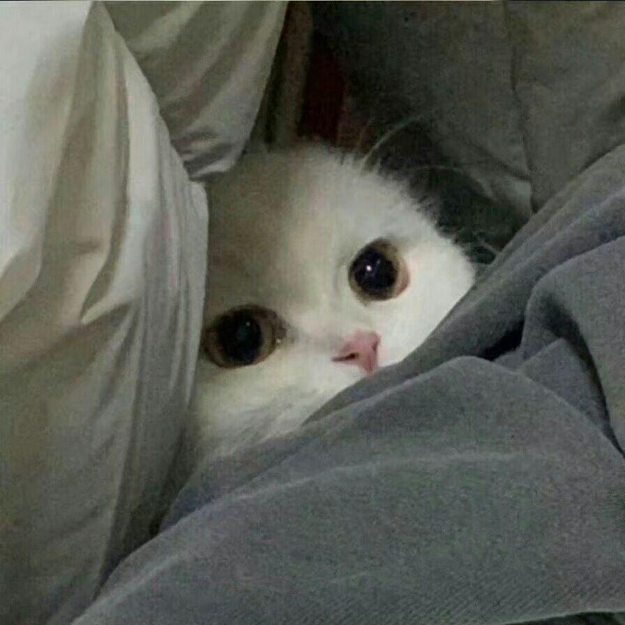 零₊⁺♡̶₊⁺