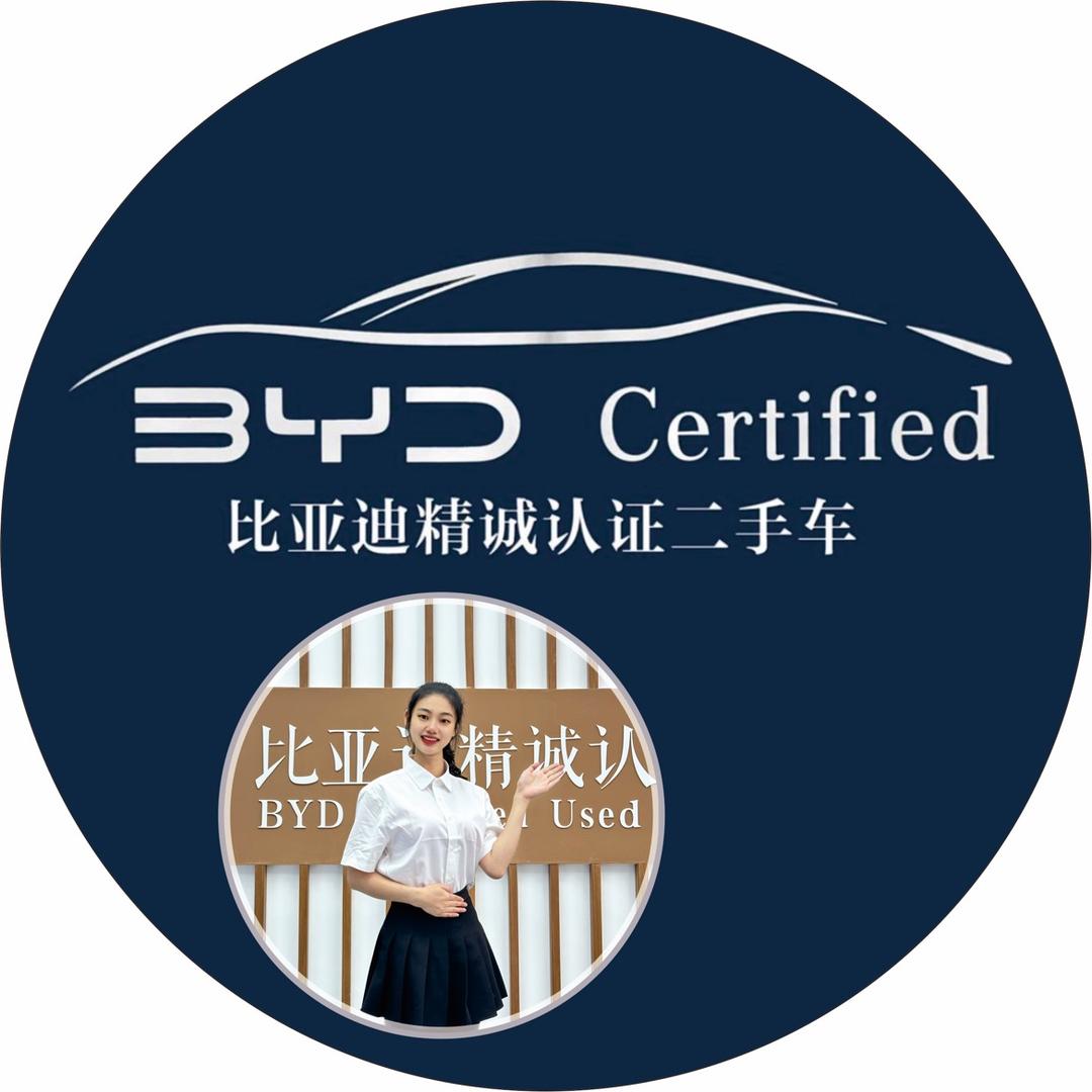 比亚迪精诚认证二手车湖南迪迪愿景店
