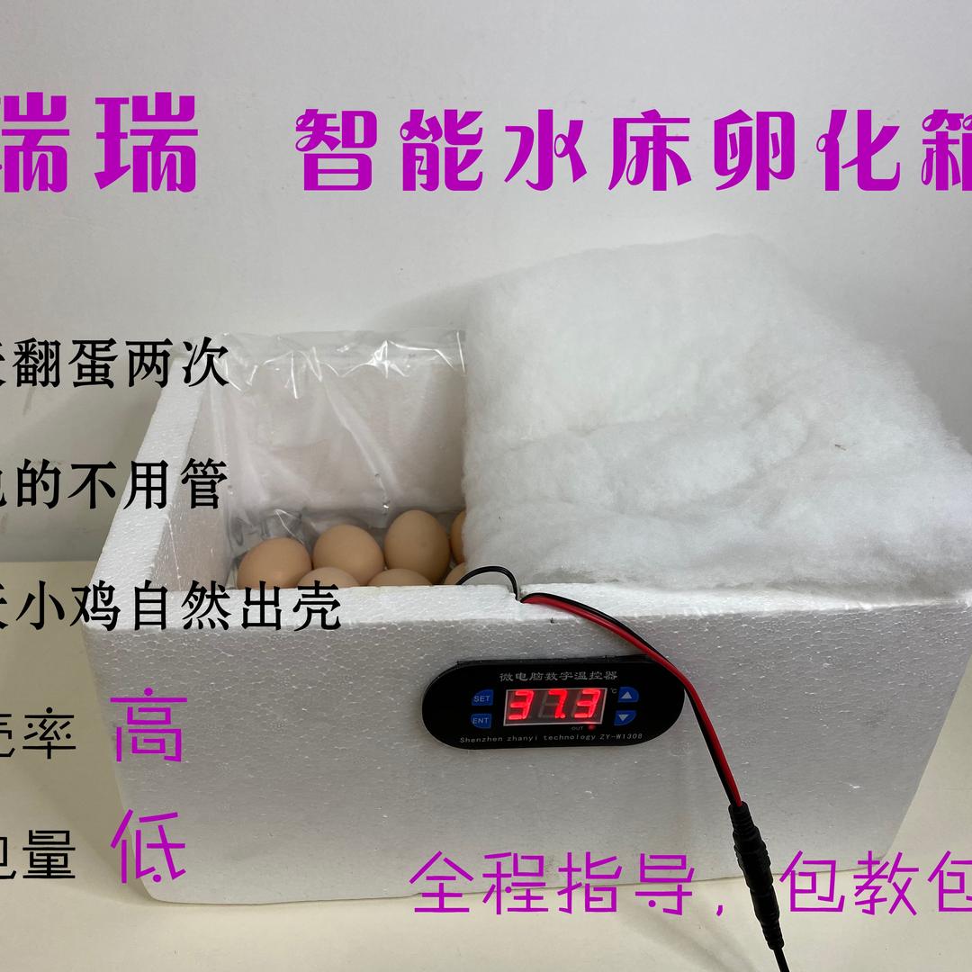瑞瑞家禽设备1