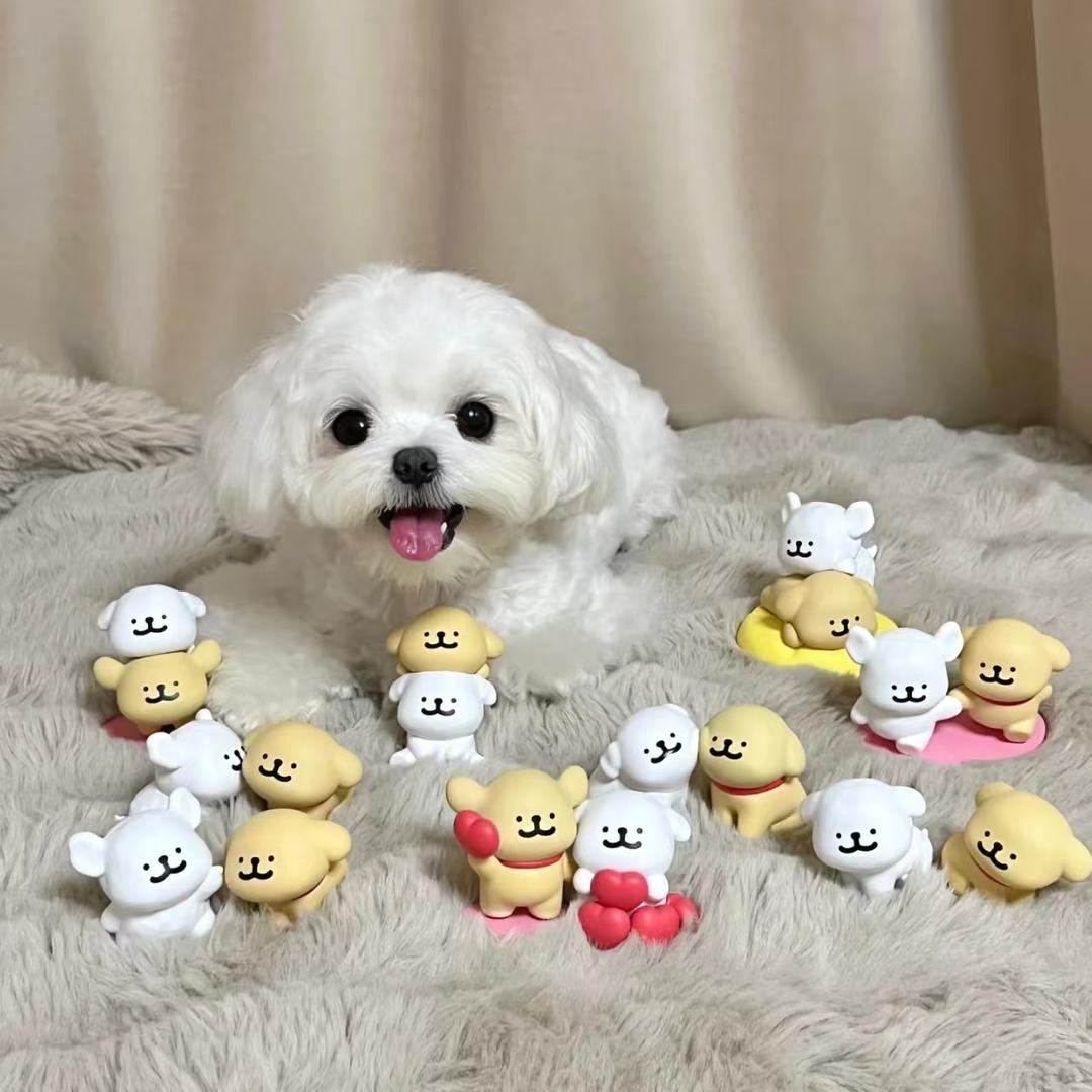 未似故人来
