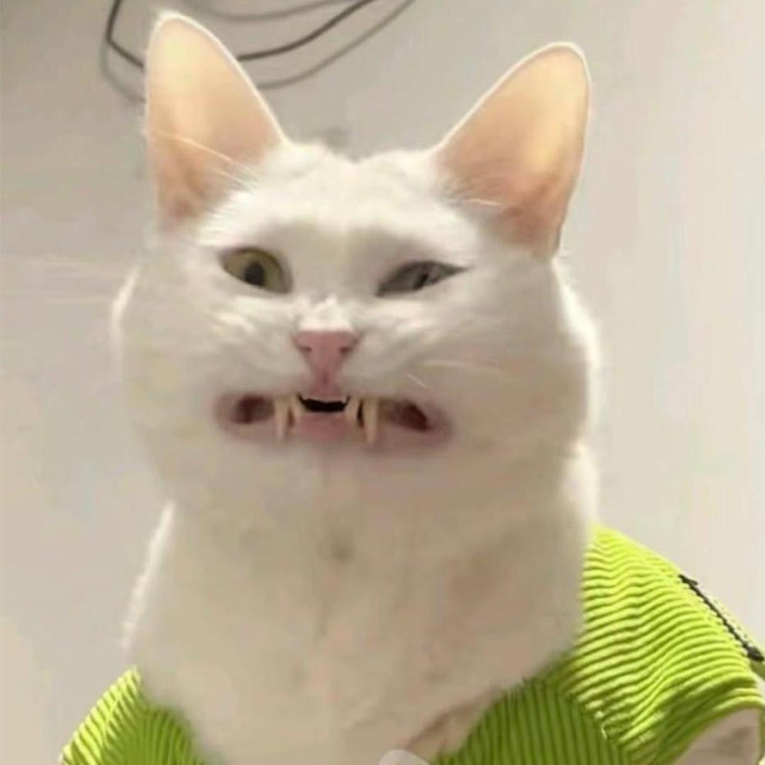 爽兔叽🥕