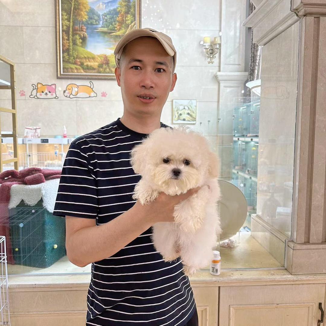 林大叔别墅犬舍