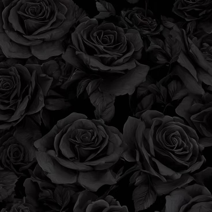 🖤.
