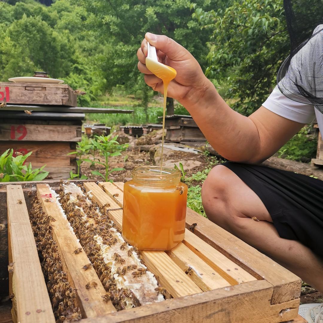 春暖花开（养蜂合作社）专注蜂蜜批发