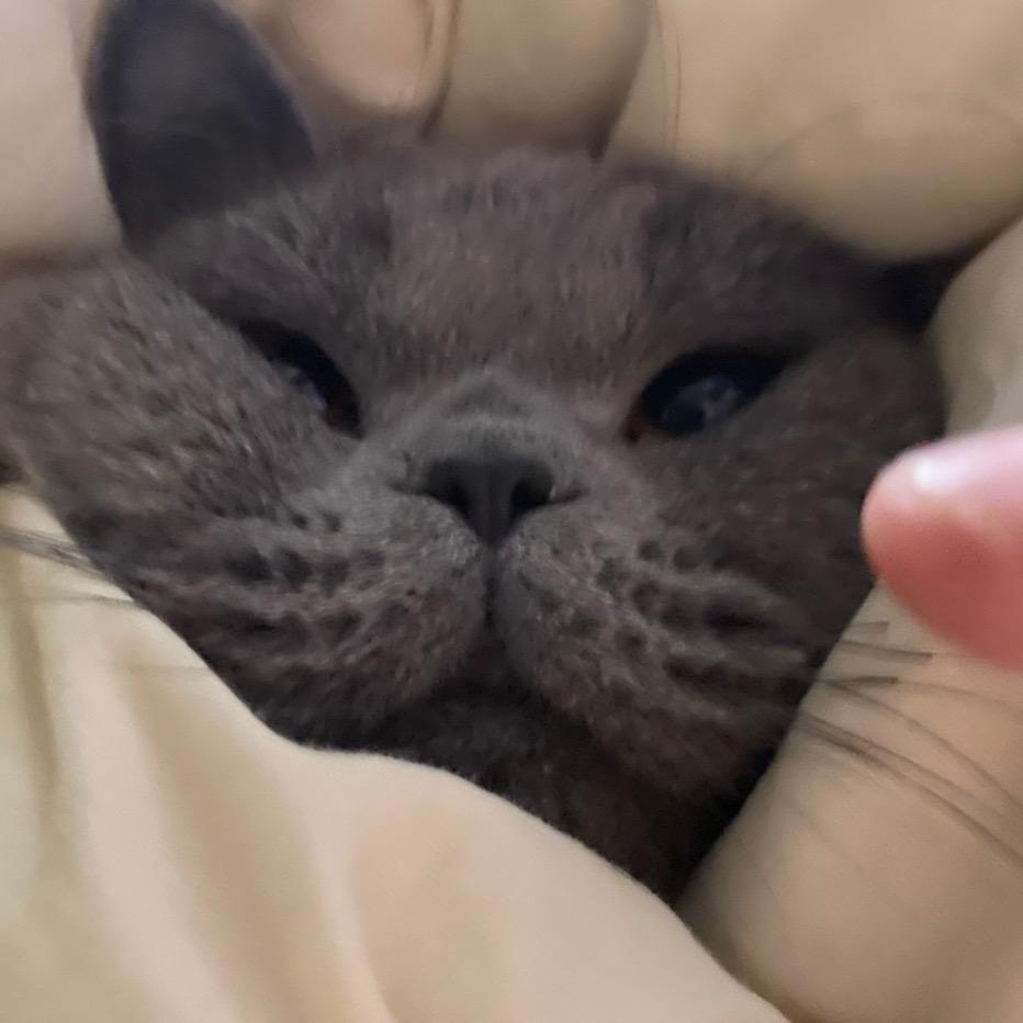 ，