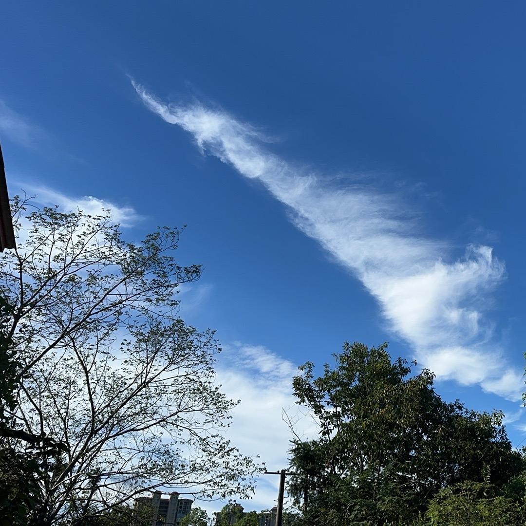 长沙砍价王