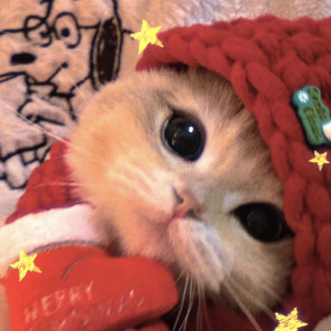 我