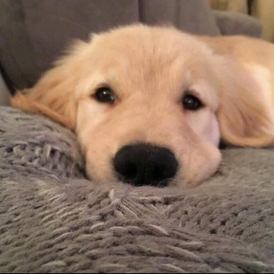 ᐡ那就明天见⚇•͈