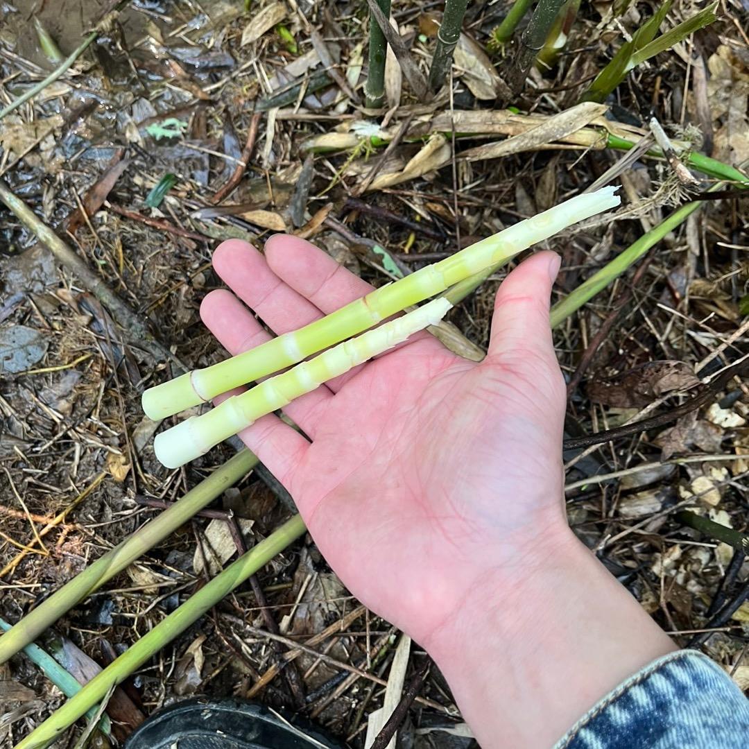你不买我就睡觉咯？