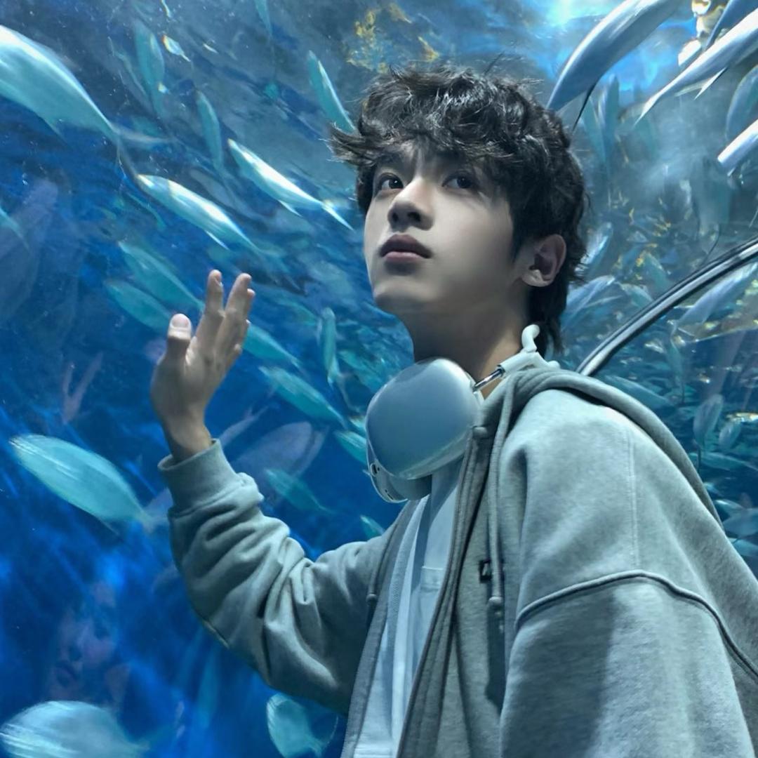 鲨鱼千寻🦈