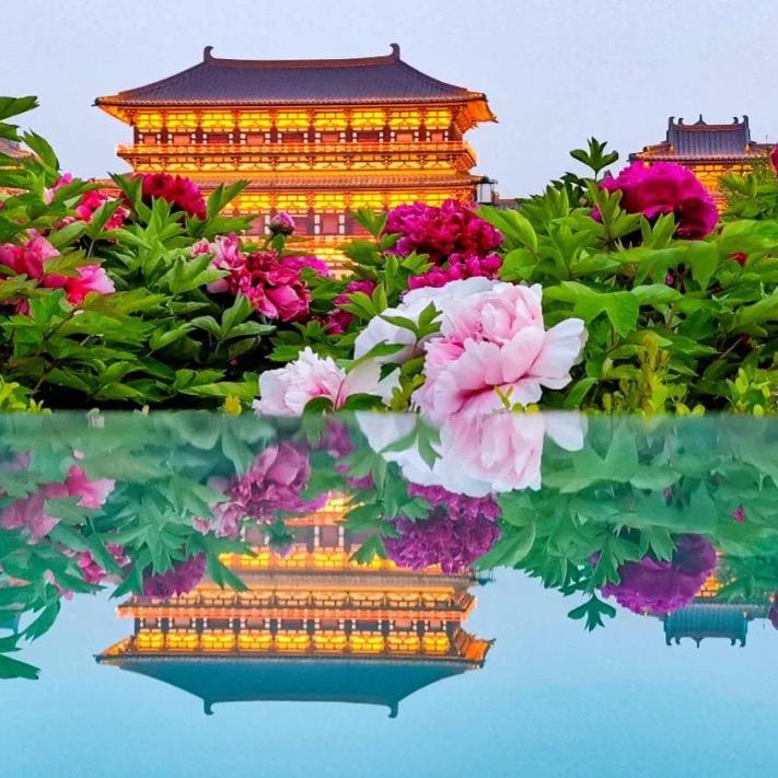 ༄ེིོུཉིMAOMAOཉ྄ིོུ༄