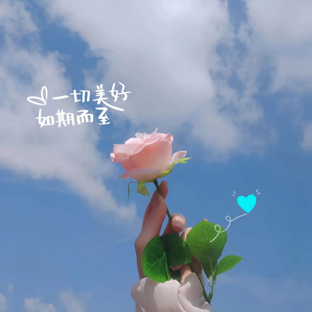 夏～欣