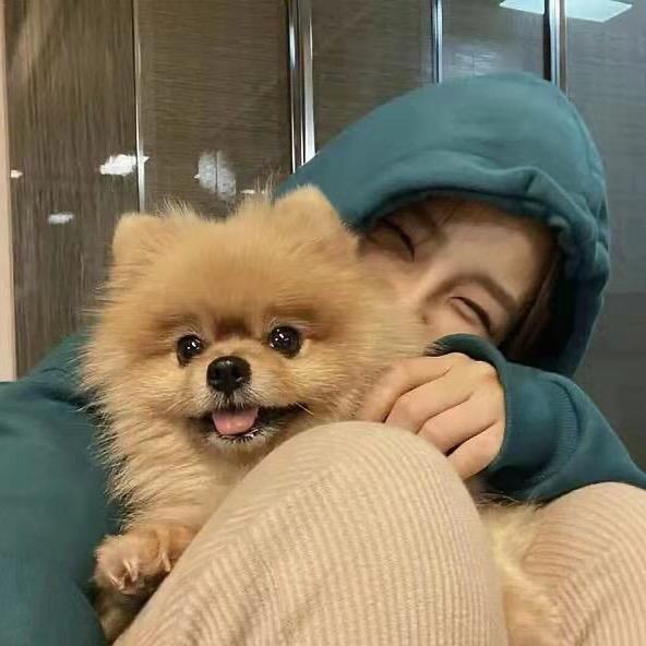 不小心吃了蜜蜂