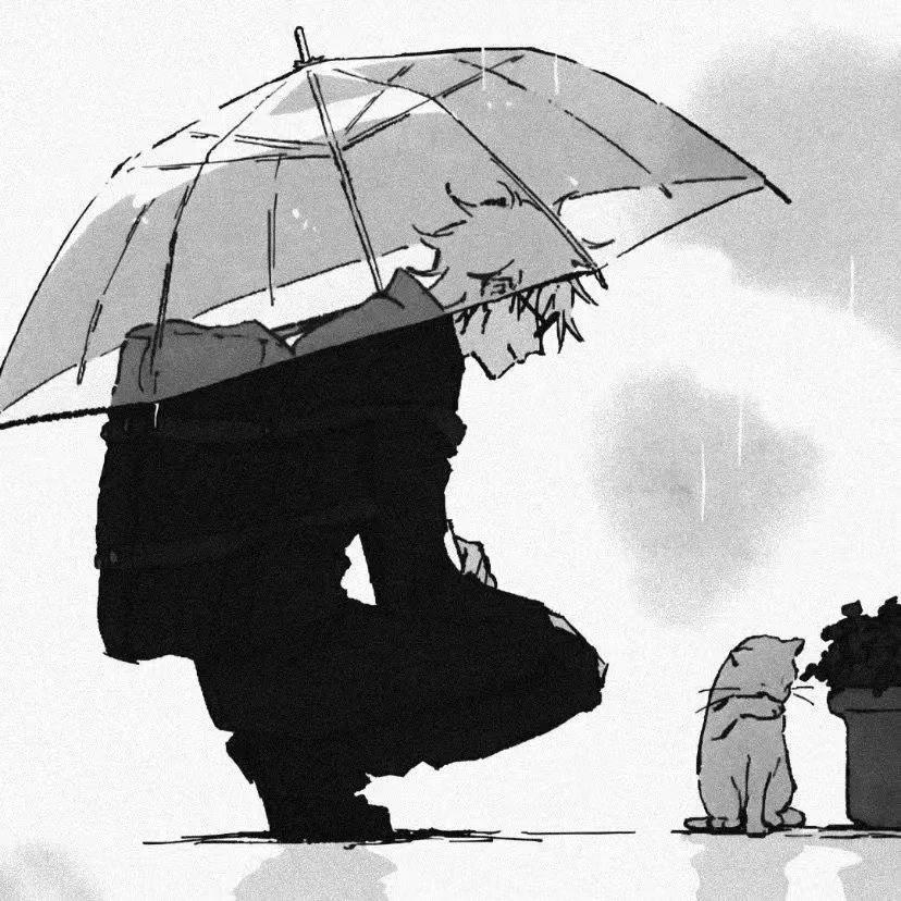 等雨停Z☡zᶻ ⌁