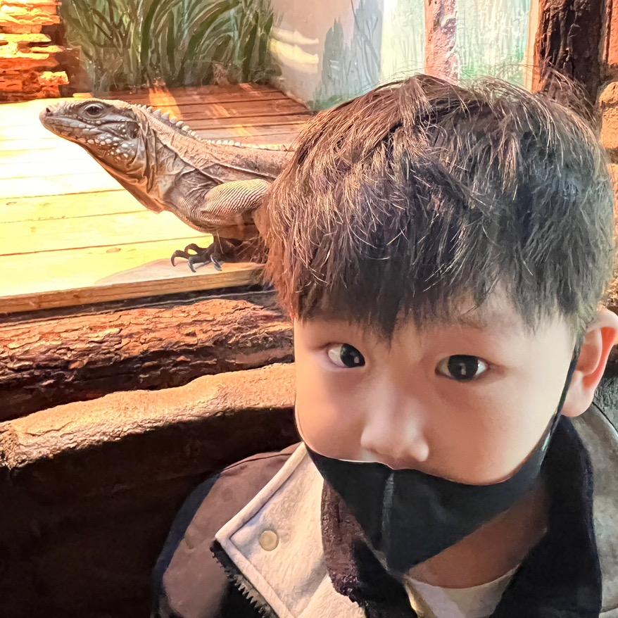 米饭团子（临期清货）