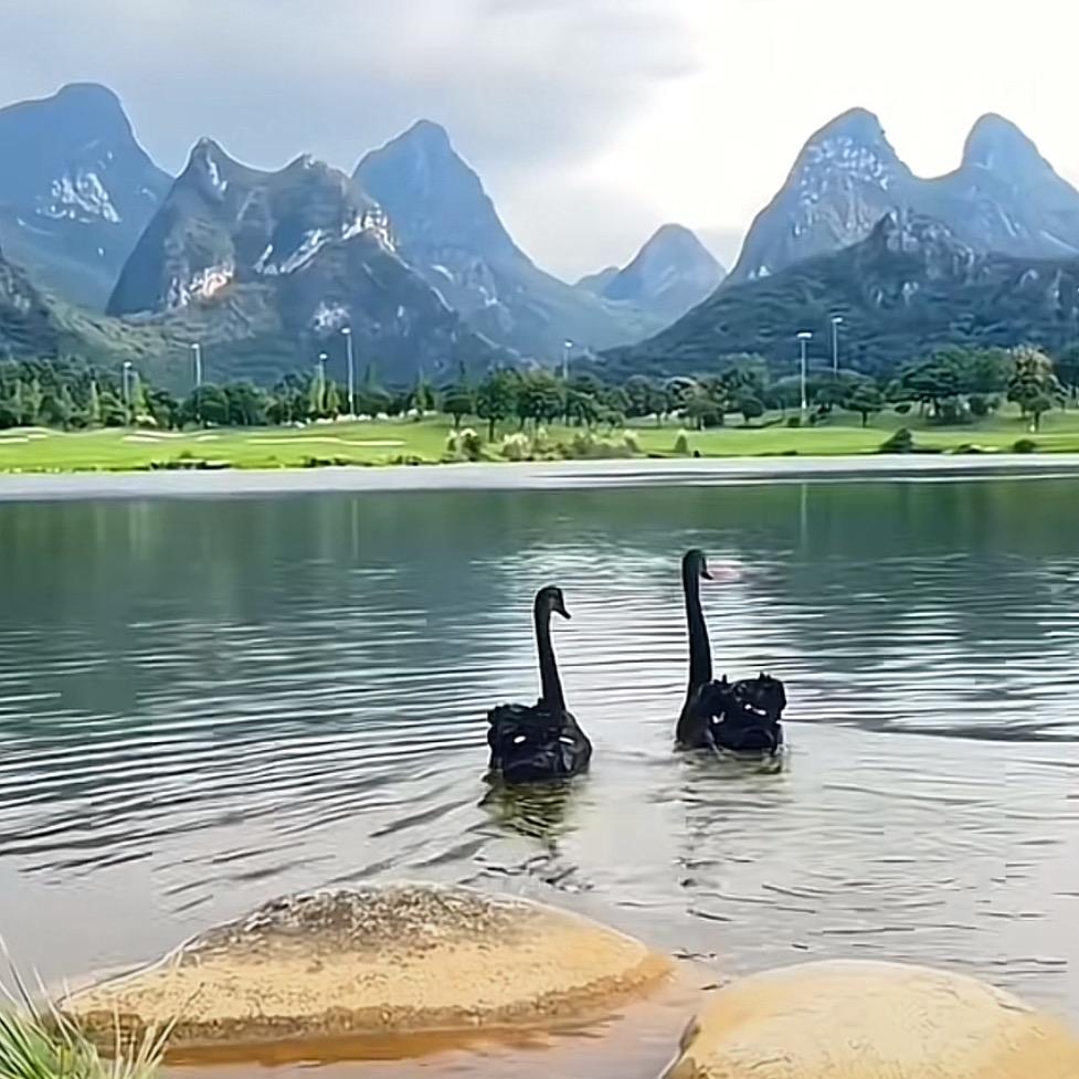 授（徒）