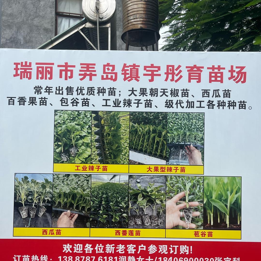 厚德载物；海纳百川，关注瑞丽宇彤种业