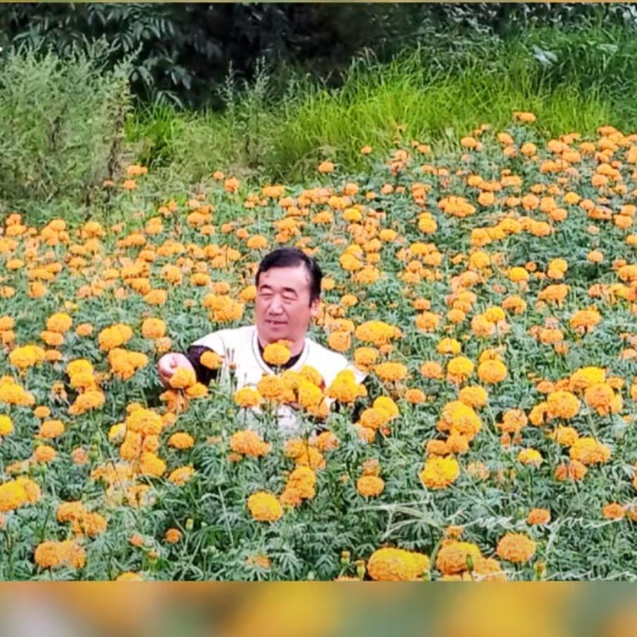用户7855274488495