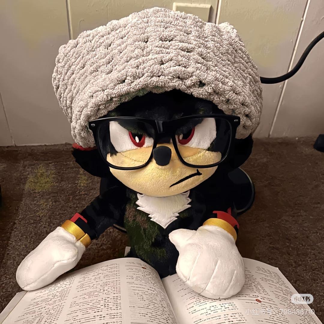 稳步毅