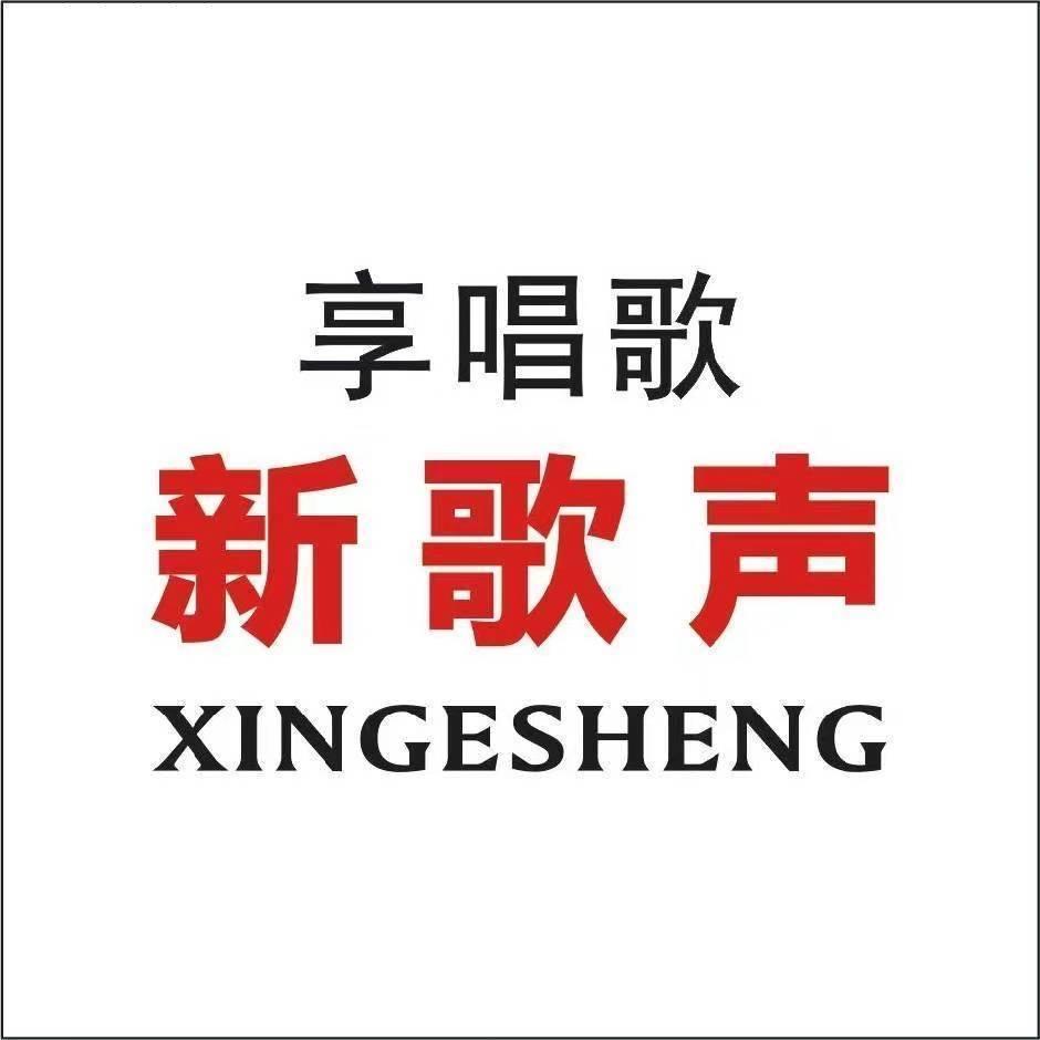 好声音 新歌声弹唱音响