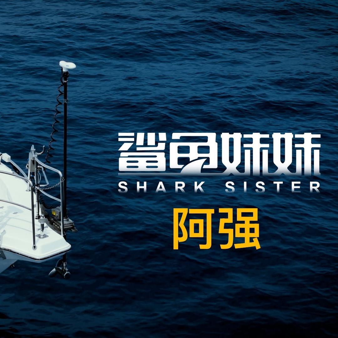 鲨鱼妹妹顶流机粤西代理-阿强