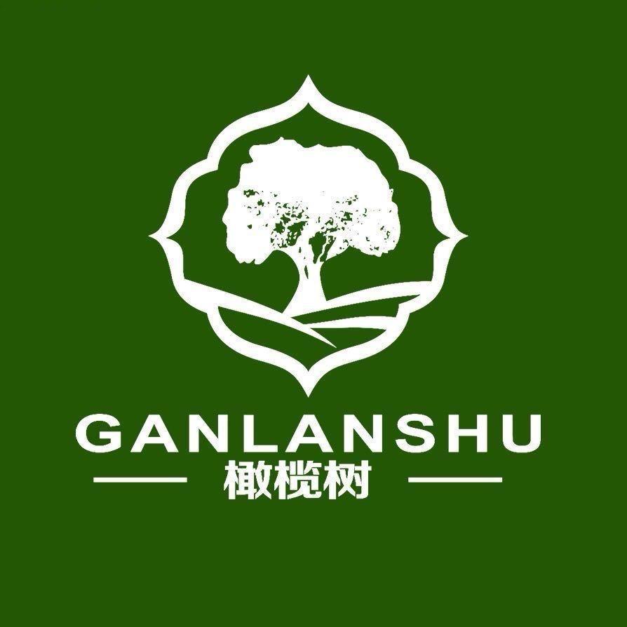 橄榄树KTV设计