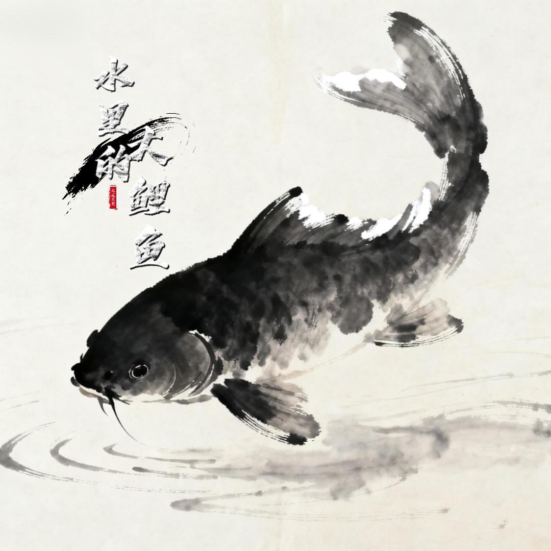 水里的大鲤鱼