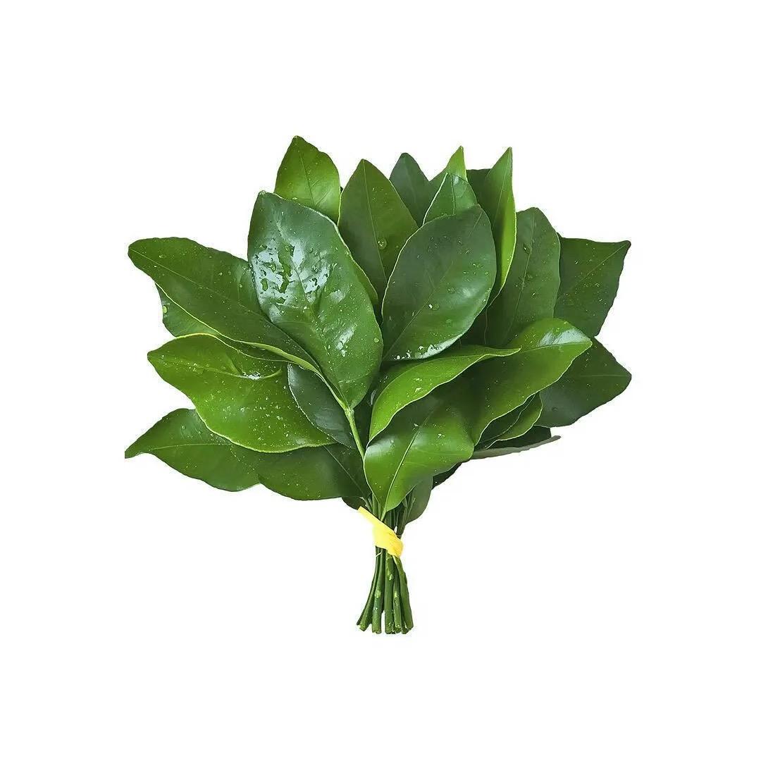 悲伤的蛋黄