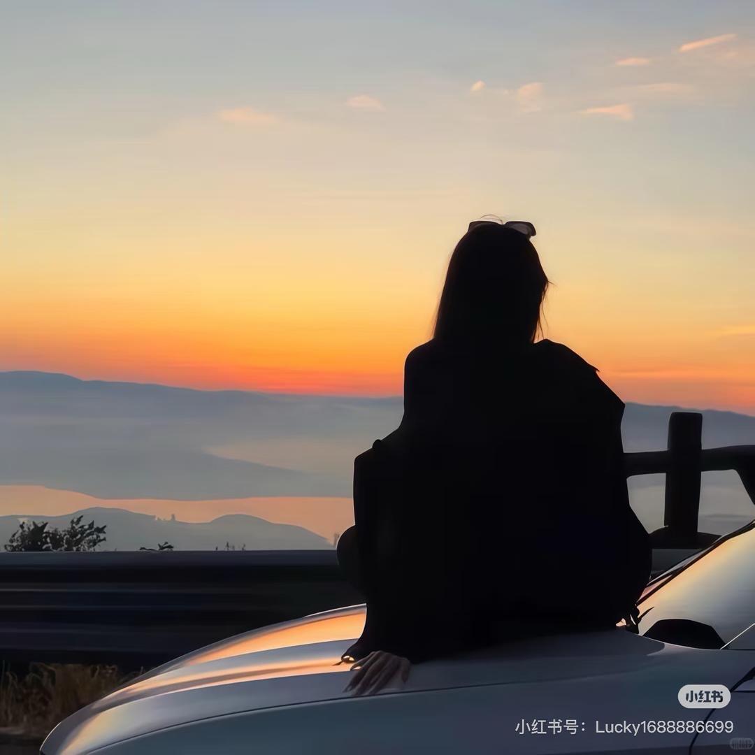 文龙画虎中通站