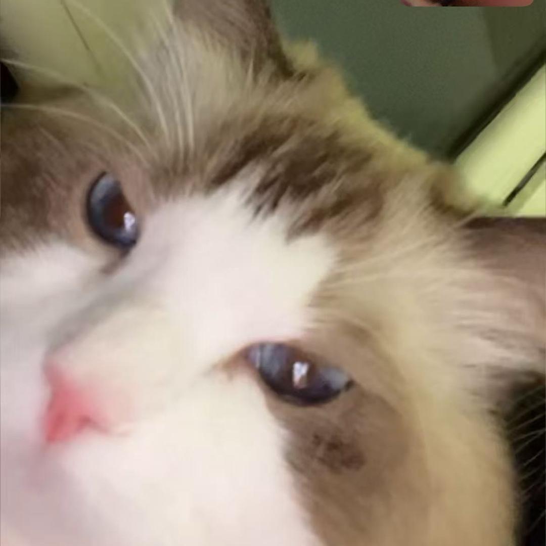 不语诗