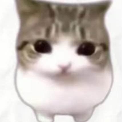 张三宝