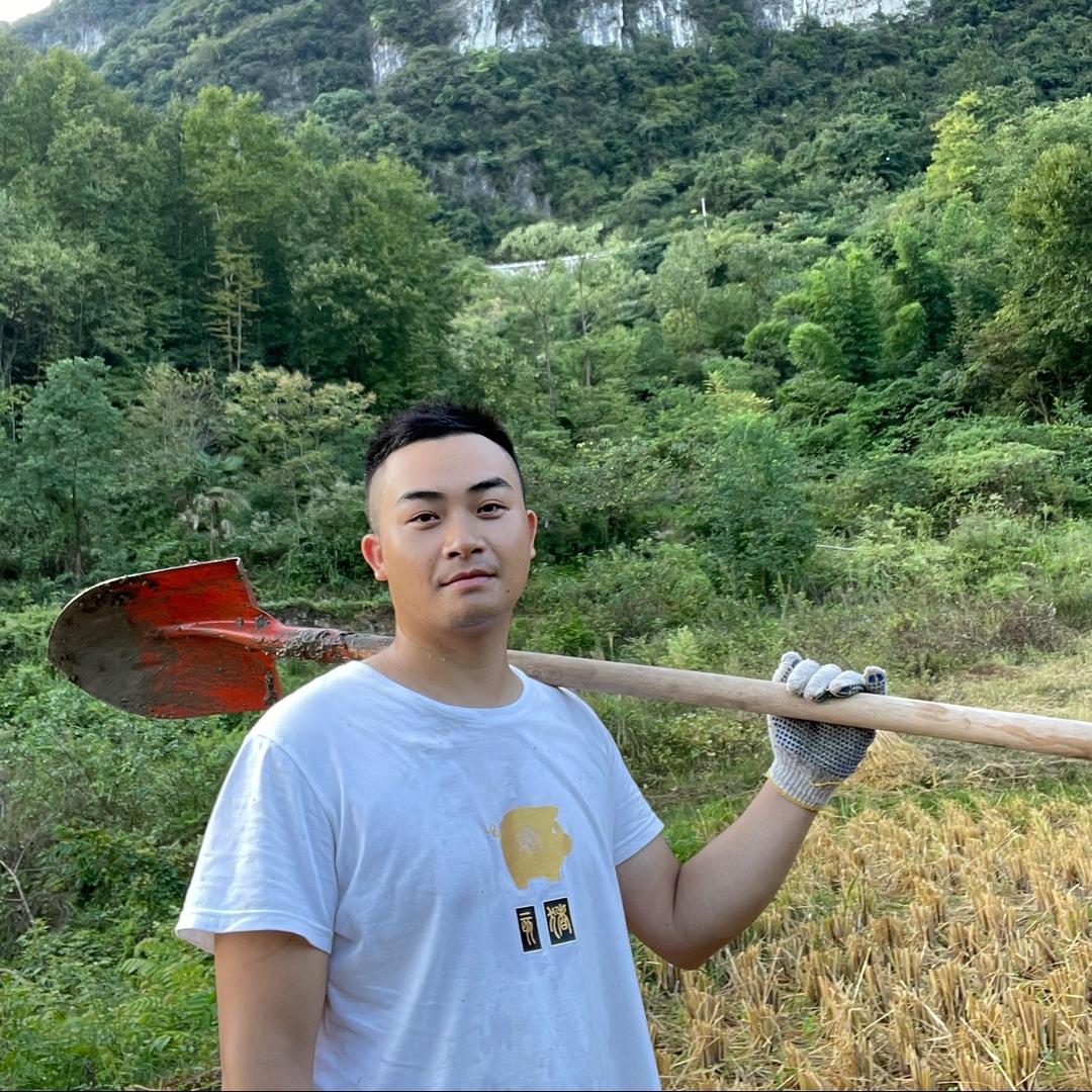 太秋甜市🌈山下柿农