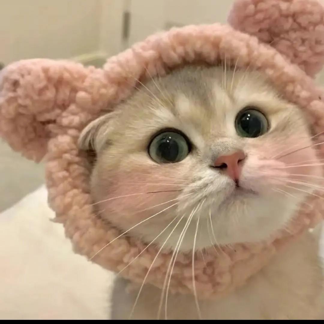 🌈杰瑞
