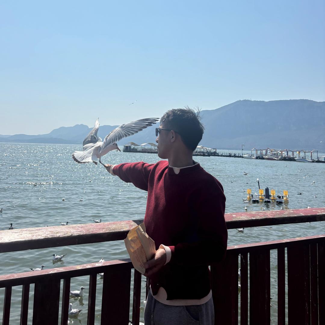 远看是美景，近看想报警。