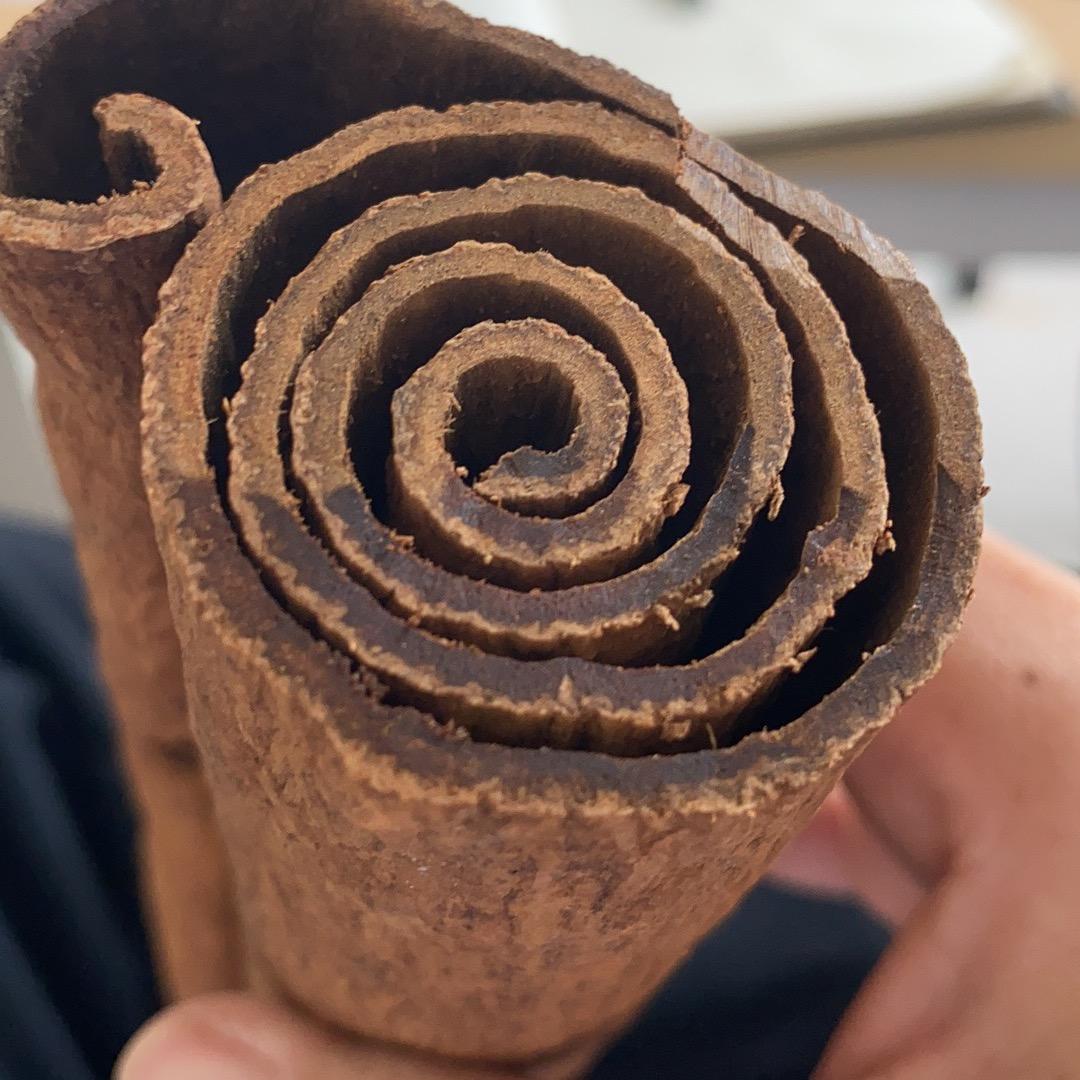 阿甘紫油桂