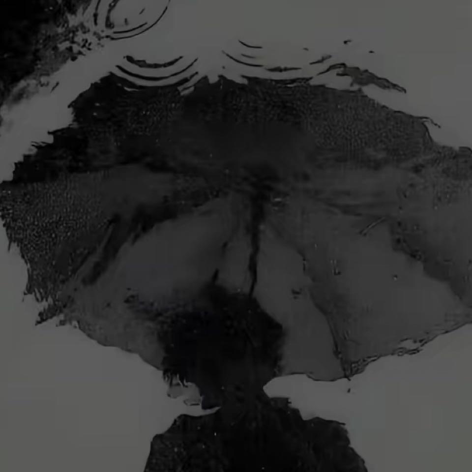 sunflowers.₅₂₆₉ᵕ̈ 🎣